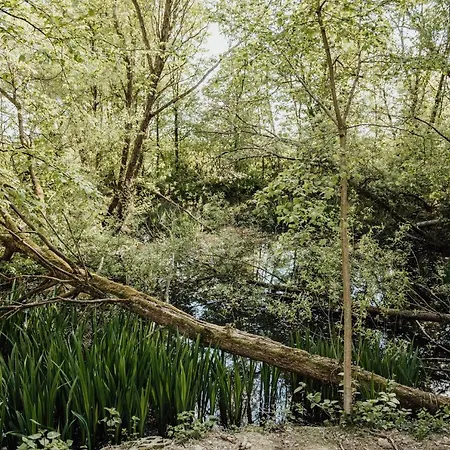 Glamping Luchshoehle *